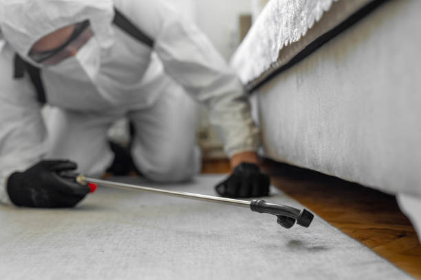 Professional Termite Control technician working in Dresden, TN