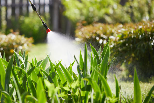 24/7 Emergency Termite Control experts in Dresden, TN